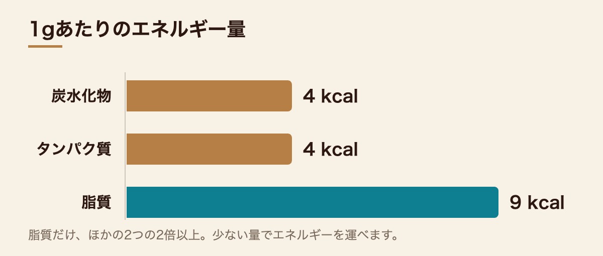 1gあたりのエネルギー量は炭水化物4kcal、タンパク質4kcal、脂質9kcal