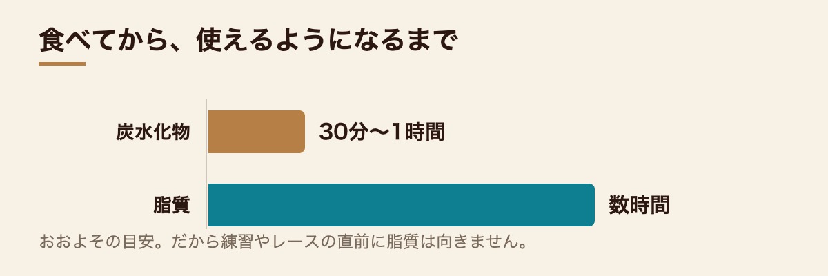 炭水化物は約1時間、脂質は数時間かけて使える状態になる